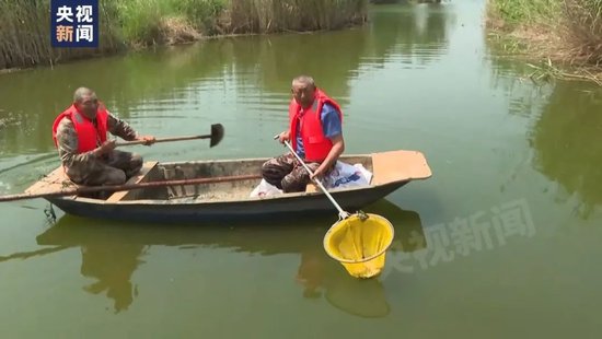 刚刚通报！全椒县委主要负责同志被免职  第1张