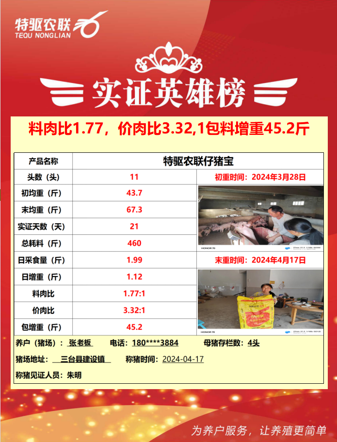 张老板：料肉比1.77，一包料长45.2斤猪，确实不错！