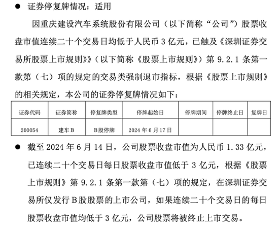 首家！市值不足3亿元，锁定强制退市！多家公司风险悬顶  第1张