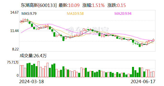 东湖高新：6月17日召开董事会会议