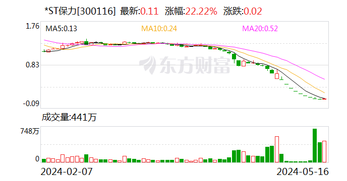 *ST保力：深交所决定终止公司股票上市