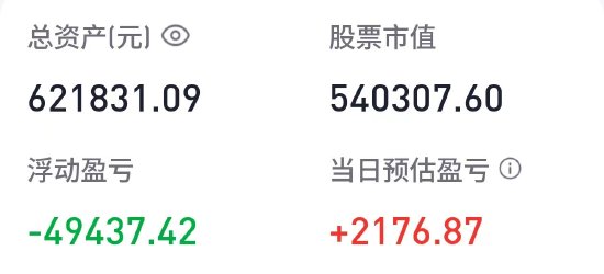 胡锡进：今天回血2176元，总亏损仍在7.82万元  第1张