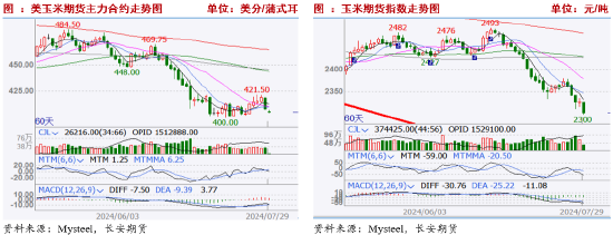 长安期货刘琳：基本面缺乏利好 玉米或低位运行