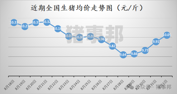 猪事邦||9月1日猪价汇总（9月开门红，但北方涨势有变！）