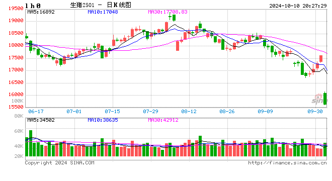 每日猪讯10.10