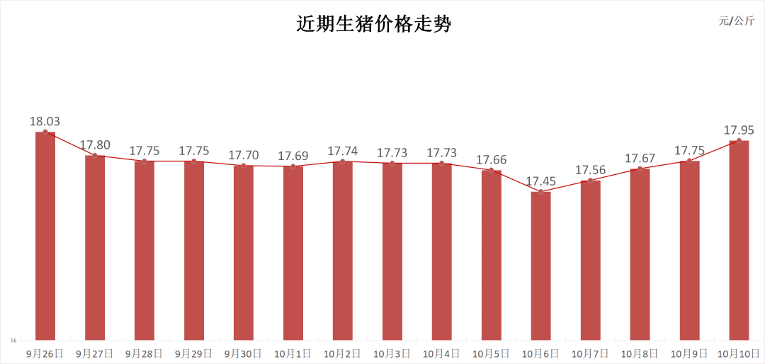 每日猪讯10.10