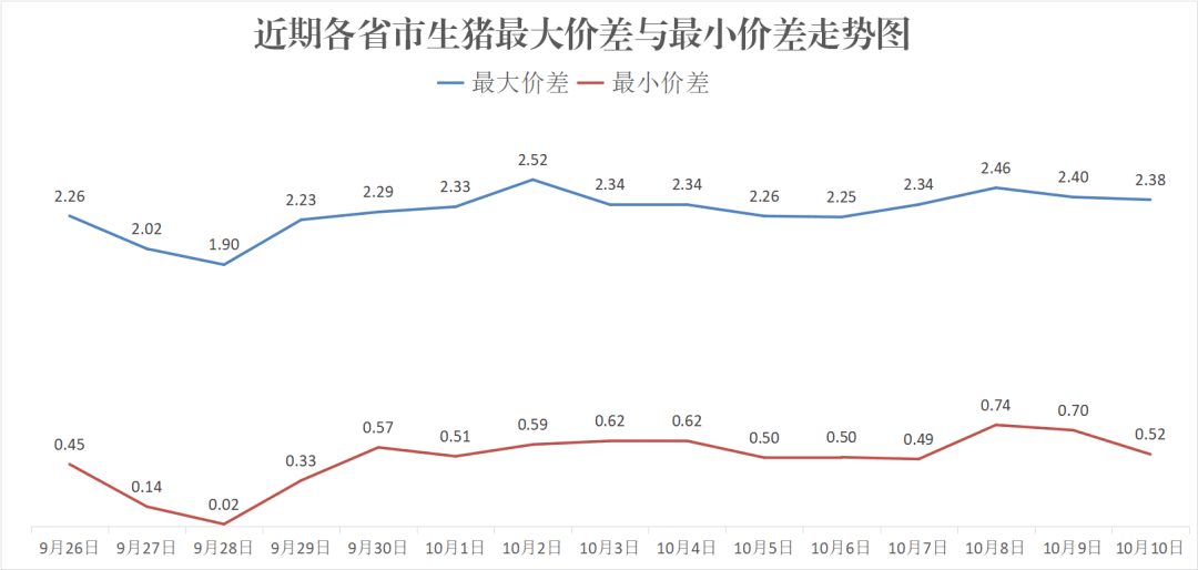 每日猪讯10.10